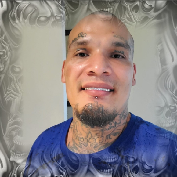 Meet your Posher, Felix - Picture 1 of 1